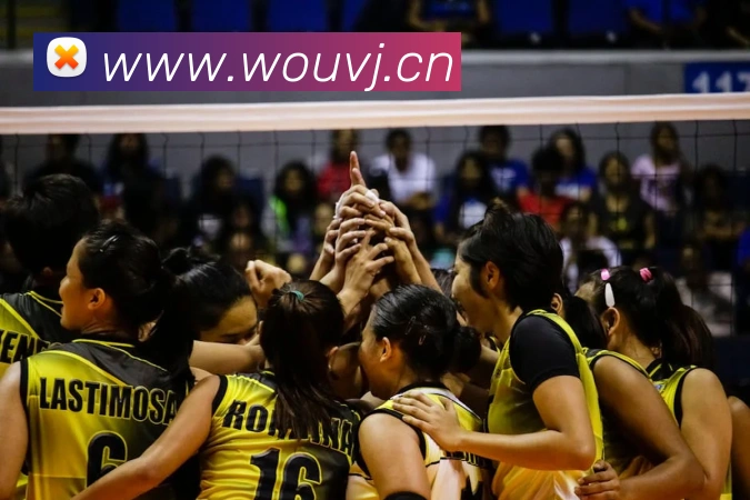 乐鱼在线登录平台入口发展历程